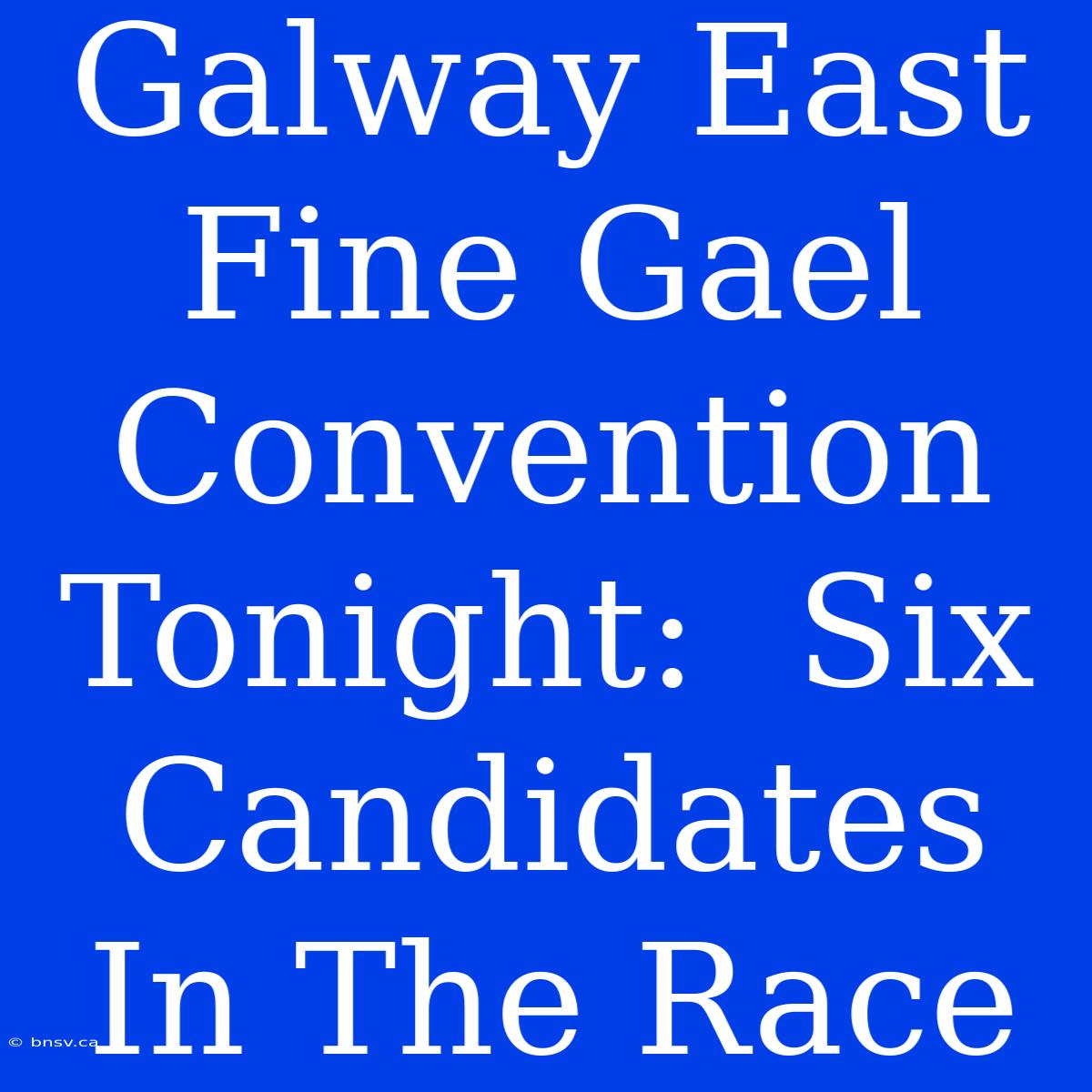 Galway East Fine Gael Convention Tonight:  Six Candidates In The Race