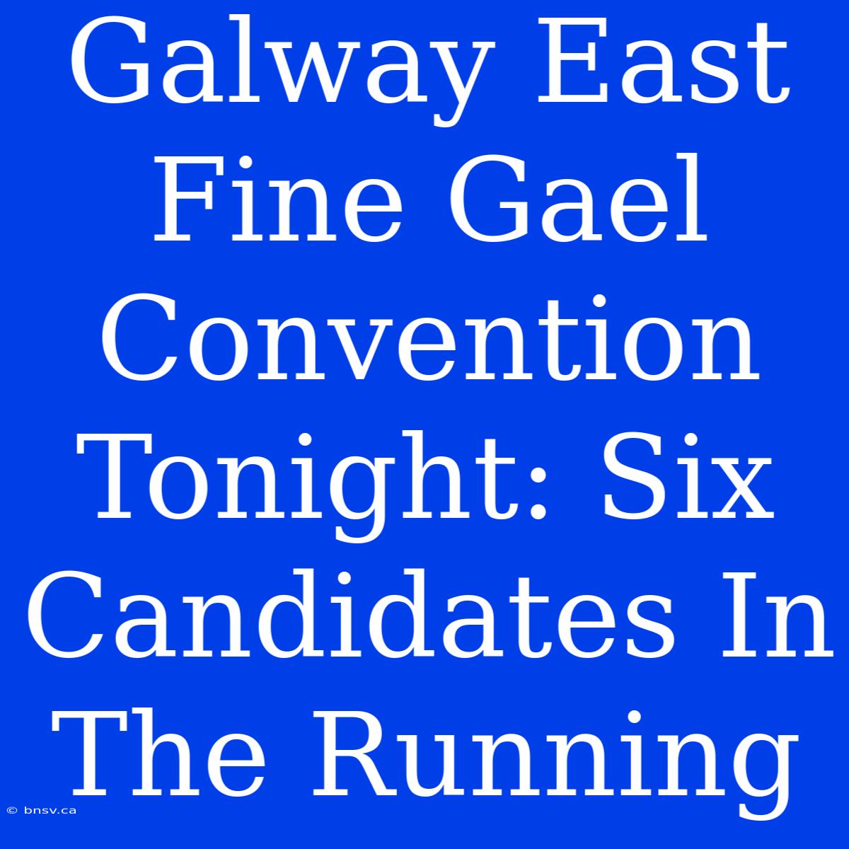 Galway East Fine Gael Convention Tonight: Six Candidates In The Running