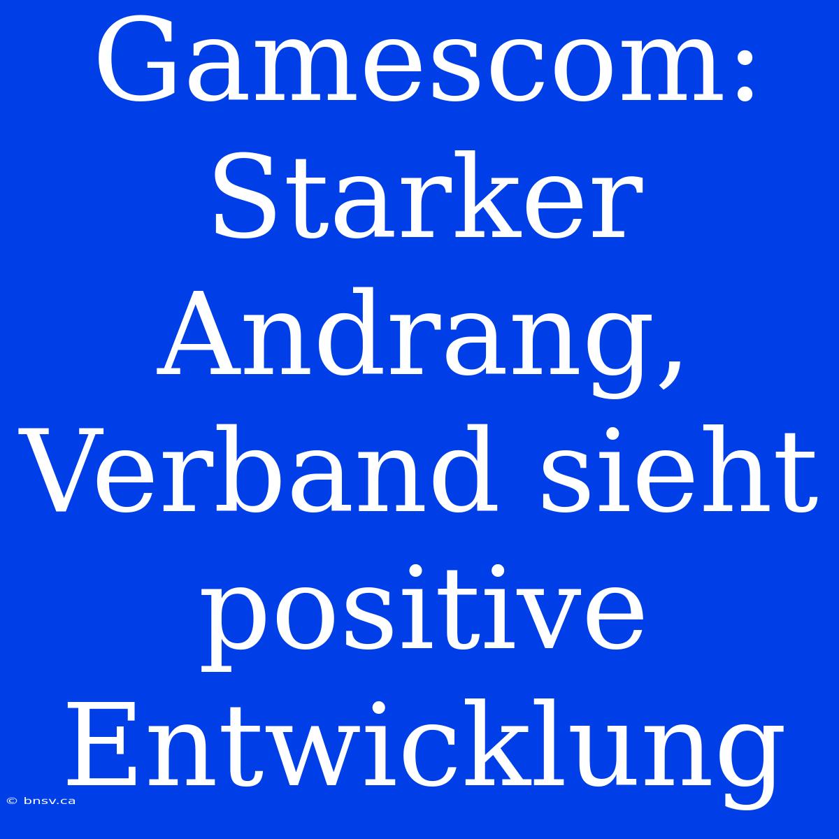 Gamescom: Starker Andrang, Verband Sieht Positive Entwicklung