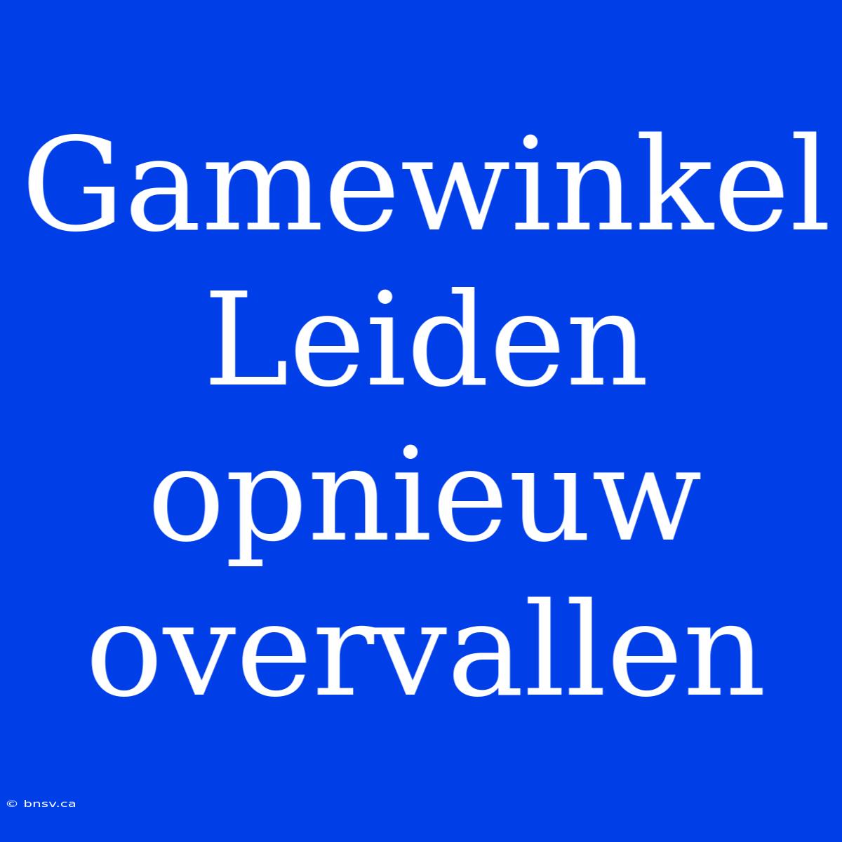 Gamewinkel Leiden Opnieuw Overvallen