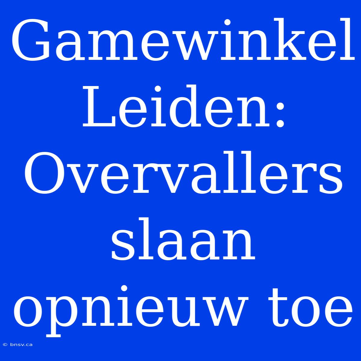 Gamewinkel Leiden: Overvallers Slaan Opnieuw Toe