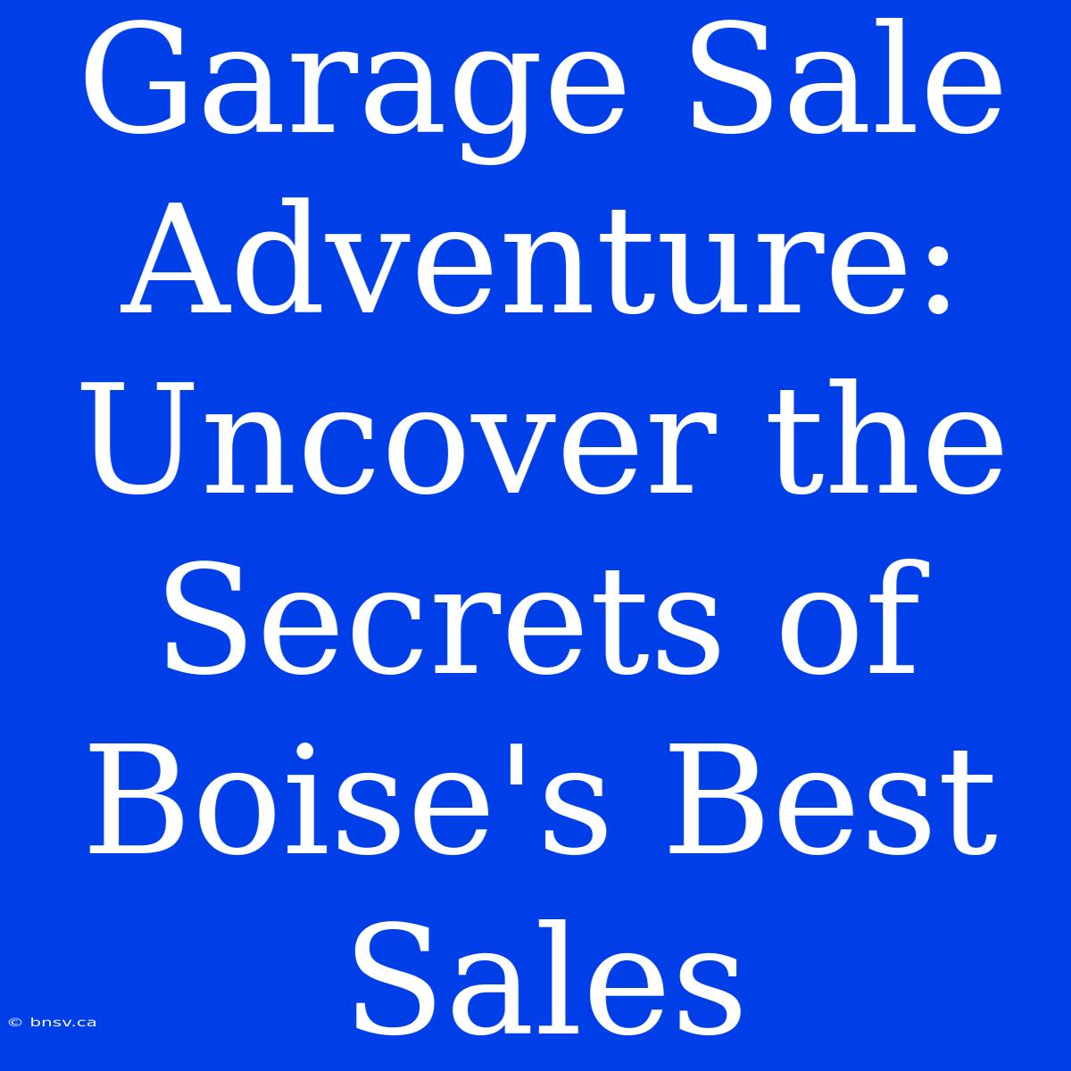 Garage Sale Adventure: Uncover The Secrets Of Boise's Best Sales