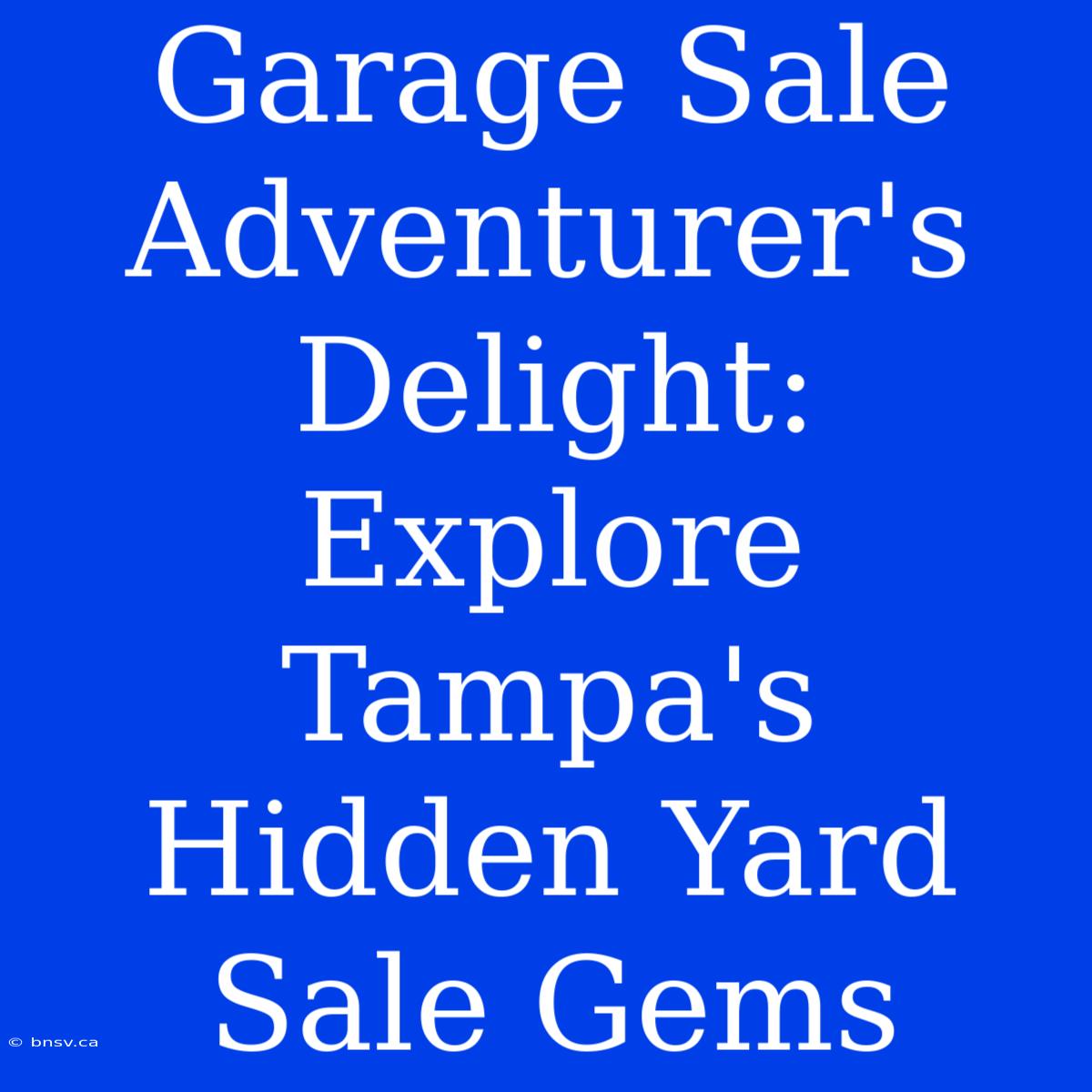 Garage Sale Adventurer's Delight: Explore Tampa's Hidden Yard Sale Gems