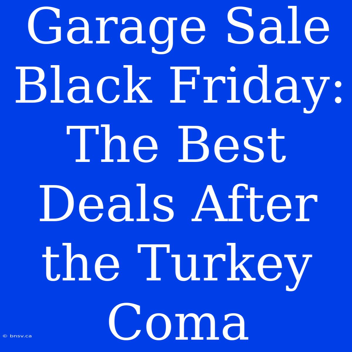 Garage Sale Black Friday: The Best Deals After The Turkey Coma