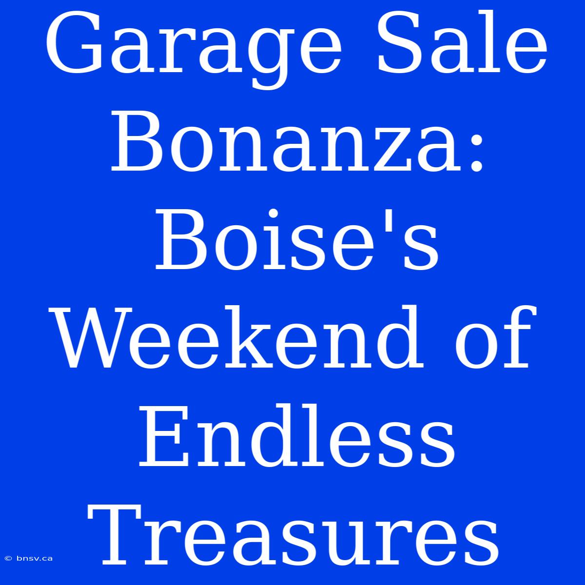 Garage Sale Bonanza: Boise's Weekend Of Endless Treasures