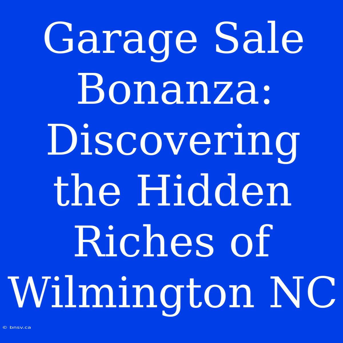 Garage Sale Bonanza: Discovering The Hidden Riches Of Wilmington NC