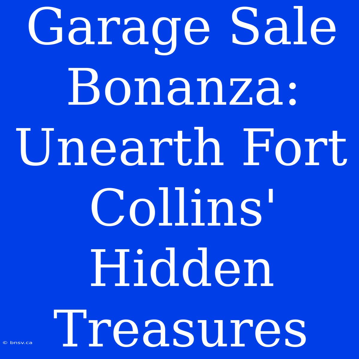 Garage Sale Bonanza: Unearth Fort Collins' Hidden Treasures