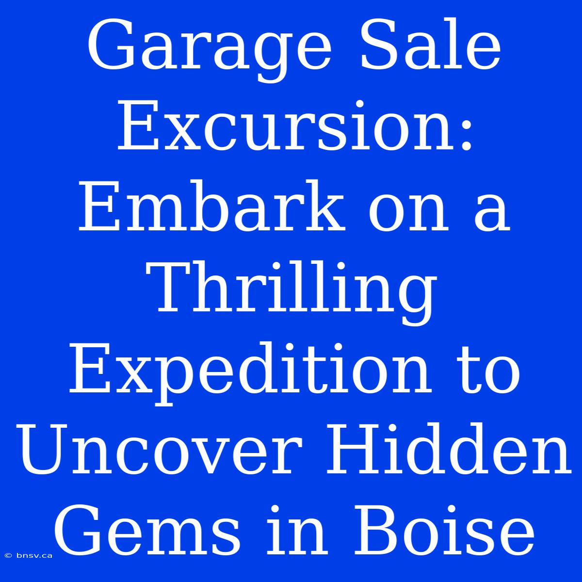 Garage Sale Excursion: Embark On A Thrilling Expedition To Uncover Hidden Gems In Boise