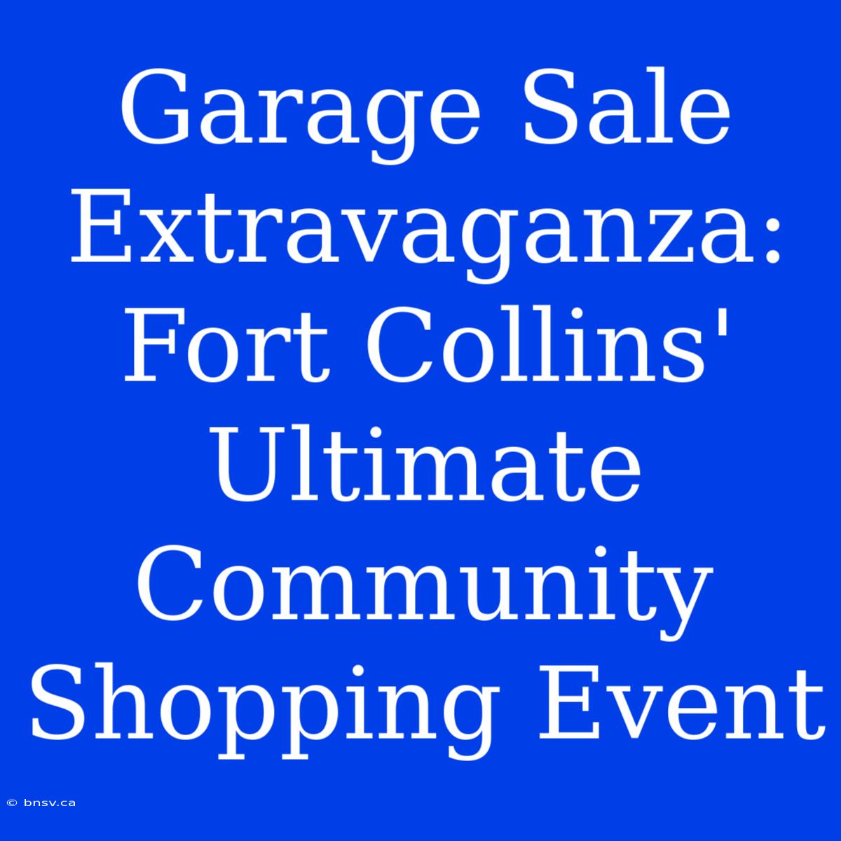 Garage Sale Extravaganza: Fort Collins' Ultimate Community Shopping Event