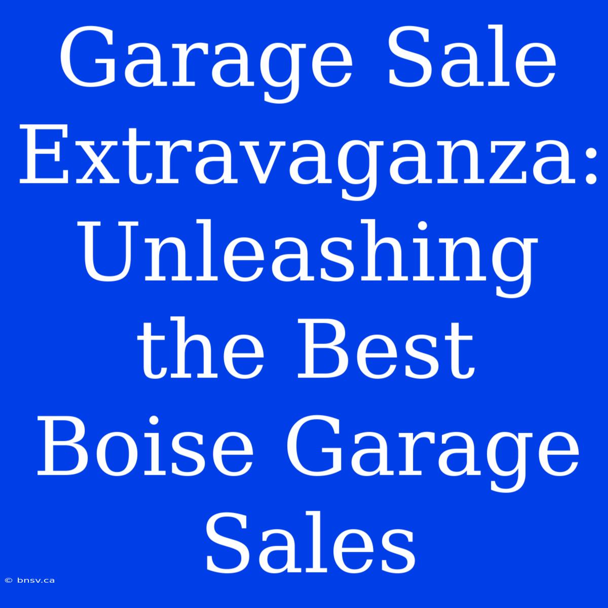 Garage Sale Extravaganza: Unleashing The Best Boise Garage Sales