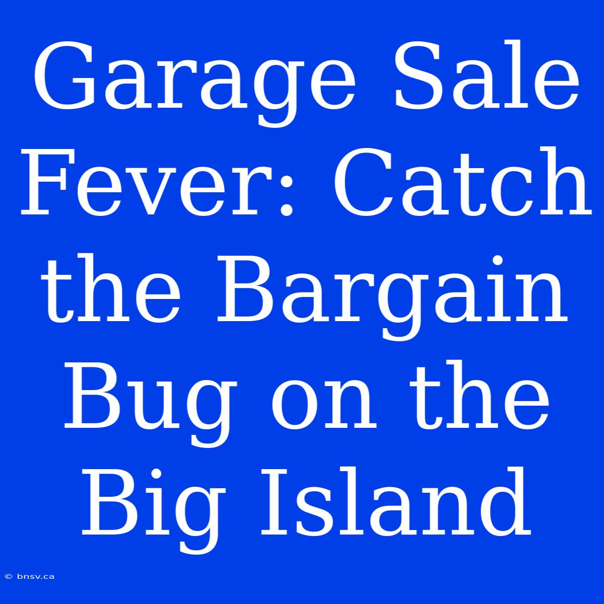 Garage Sale Fever: Catch The Bargain Bug On The Big Island