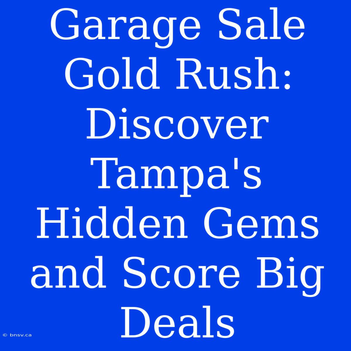 Garage Sale Gold Rush: Discover Tampa's Hidden Gems And Score Big Deals