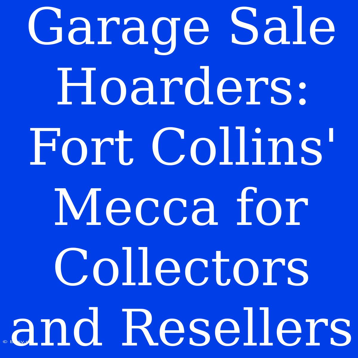 Garage Sale Hoarders: Fort Collins' Mecca For Collectors And Resellers