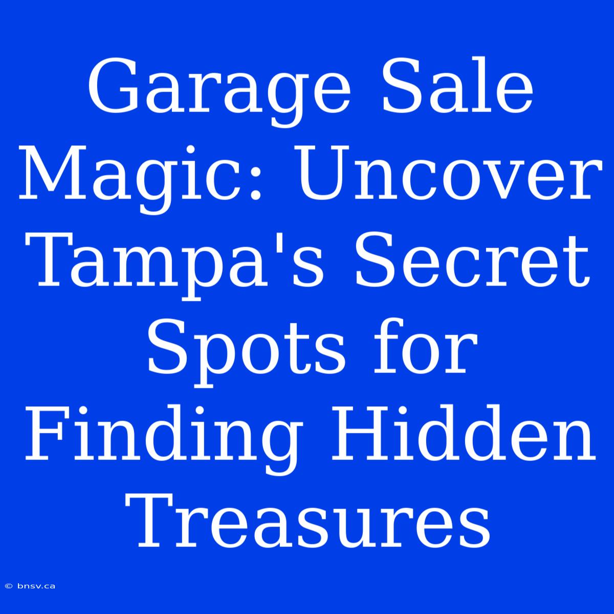 Garage Sale Magic: Uncover Tampa's Secret Spots For Finding Hidden Treasures