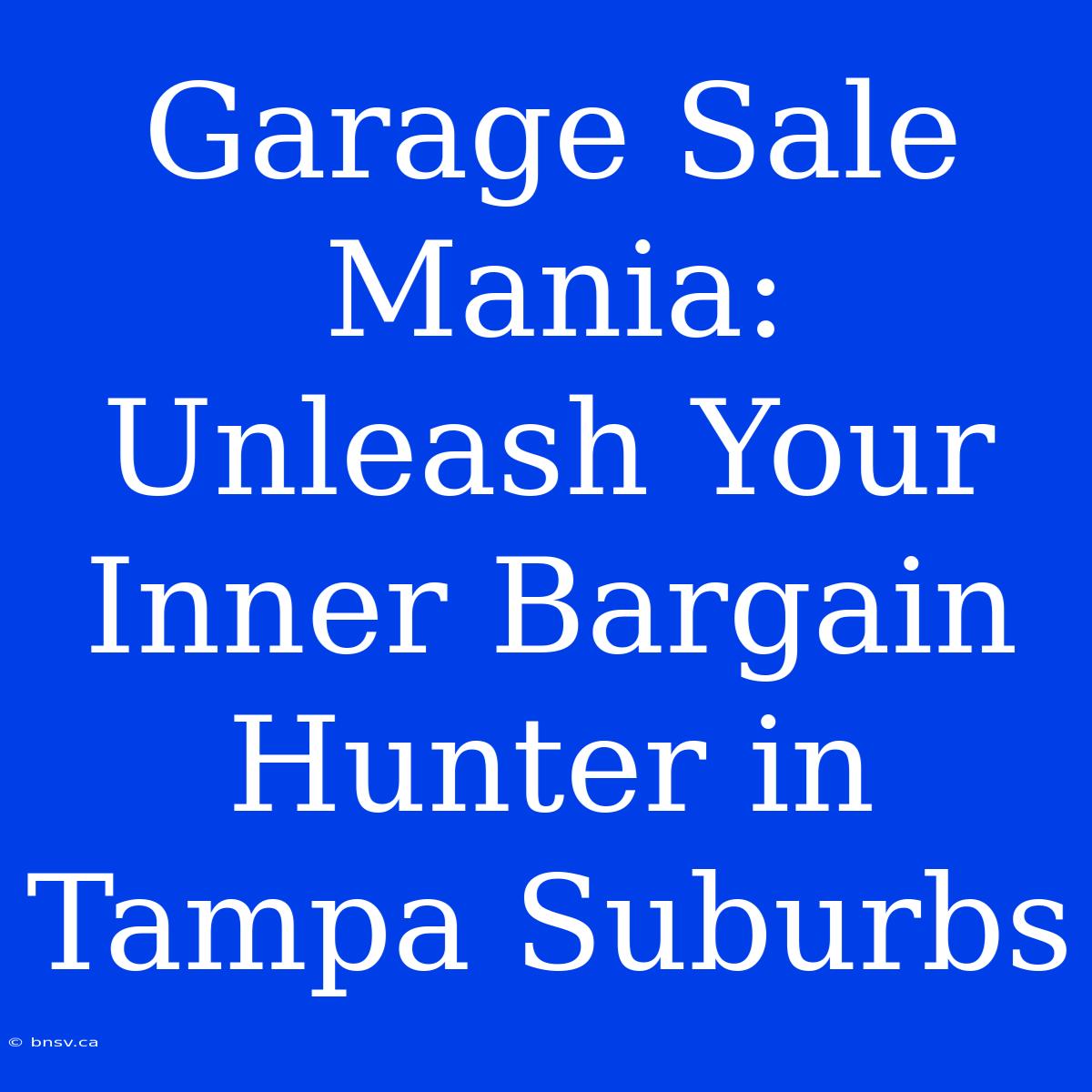 Garage Sale Mania: Unleash Your Inner Bargain Hunter In Tampa Suburbs