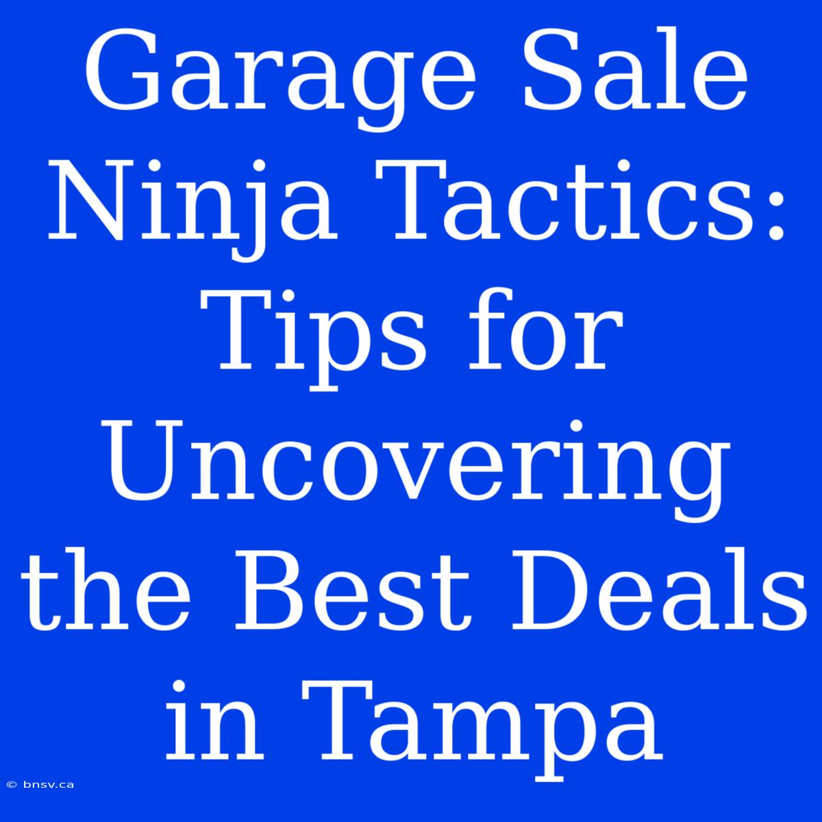 Garage Sale Ninja Tactics: Tips For Uncovering The Best Deals In Tampa