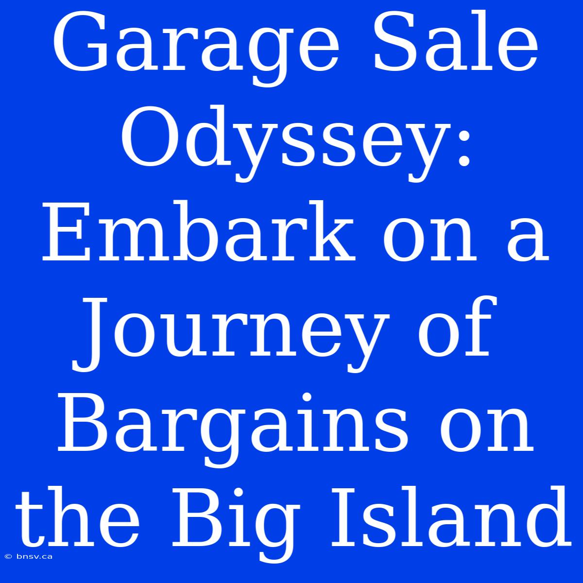 Garage Sale Odyssey: Embark On A Journey Of Bargains On The Big Island