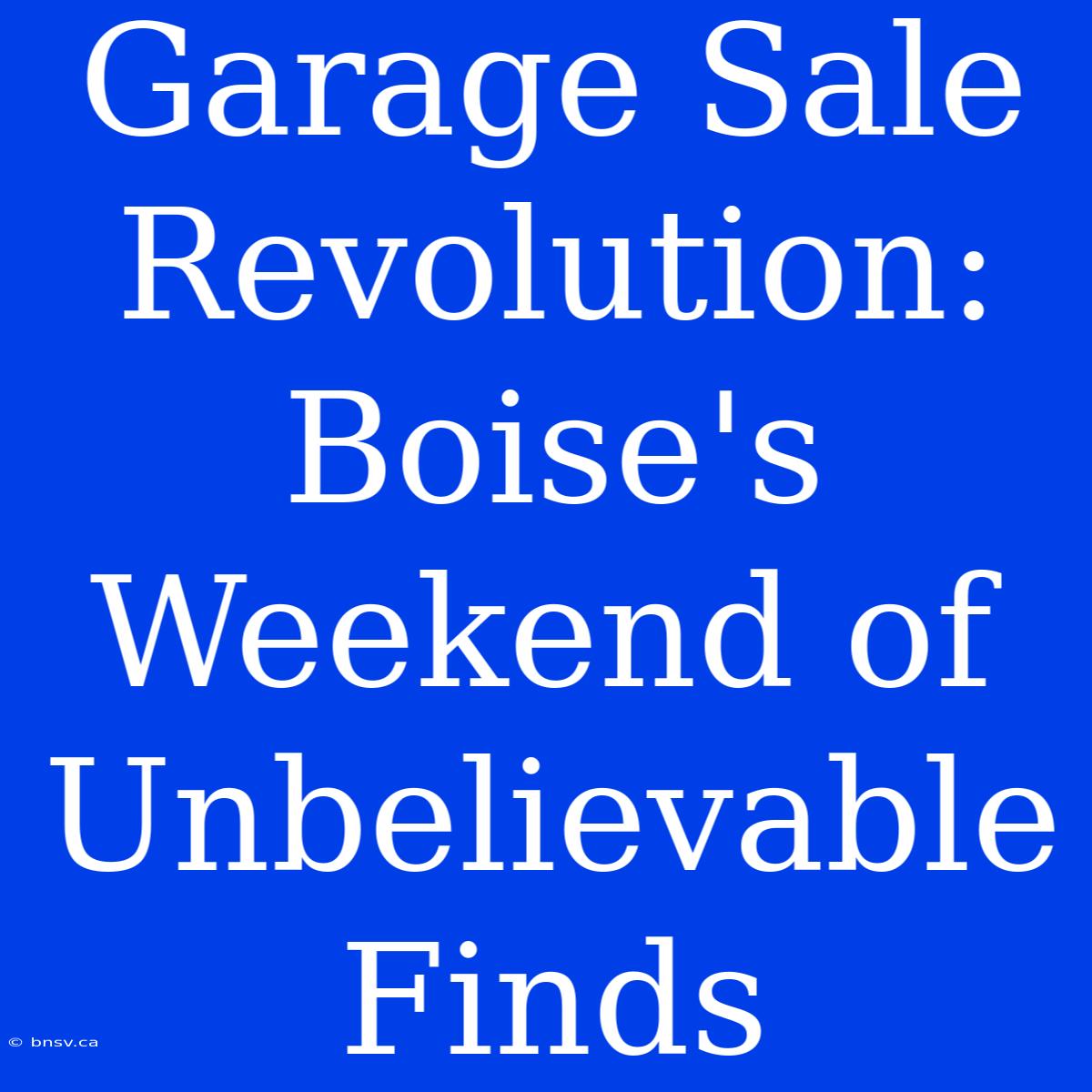 Garage Sale Revolution: Boise's Weekend Of Unbelievable Finds