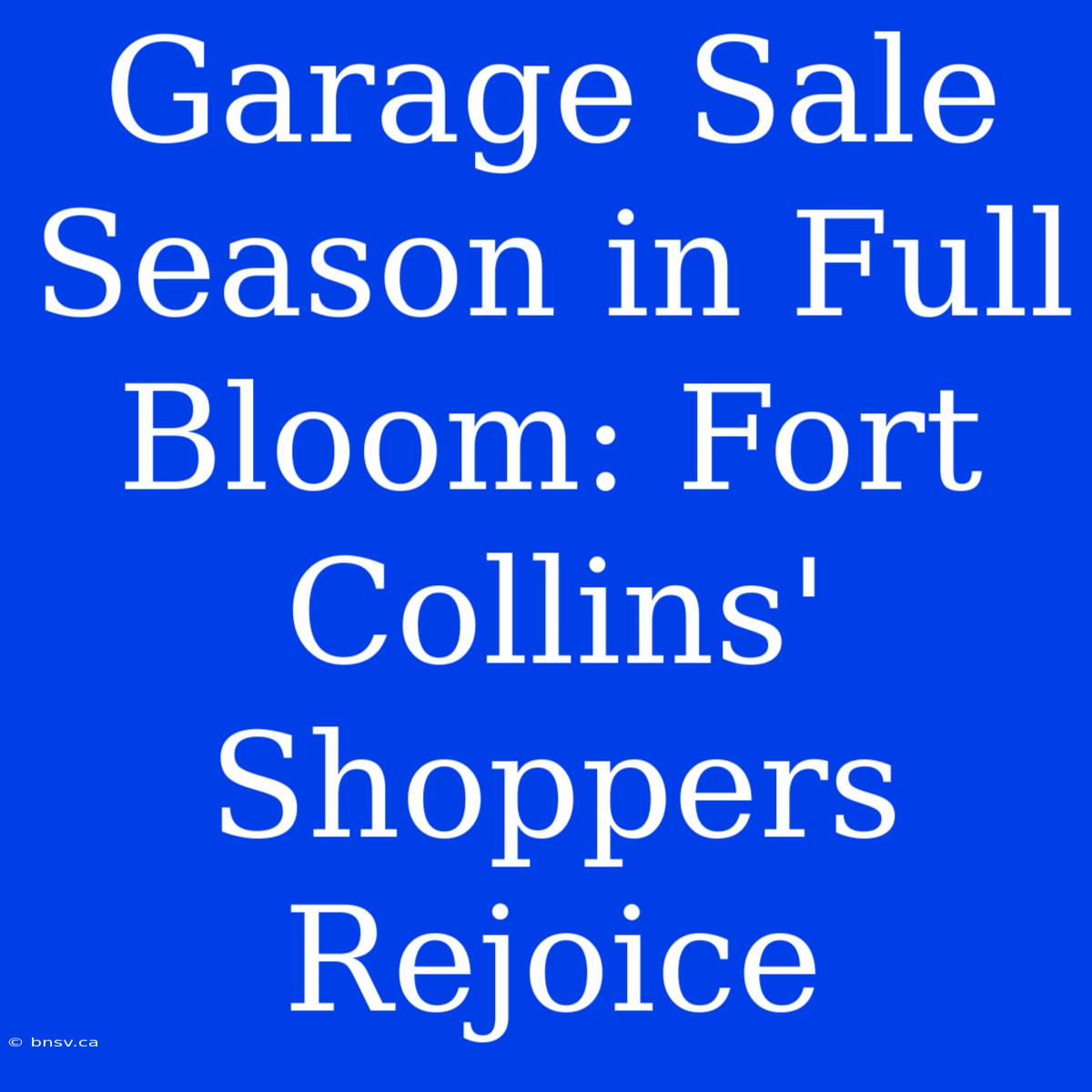 Garage Sale Season In Full Bloom: Fort Collins' Shoppers Rejoice