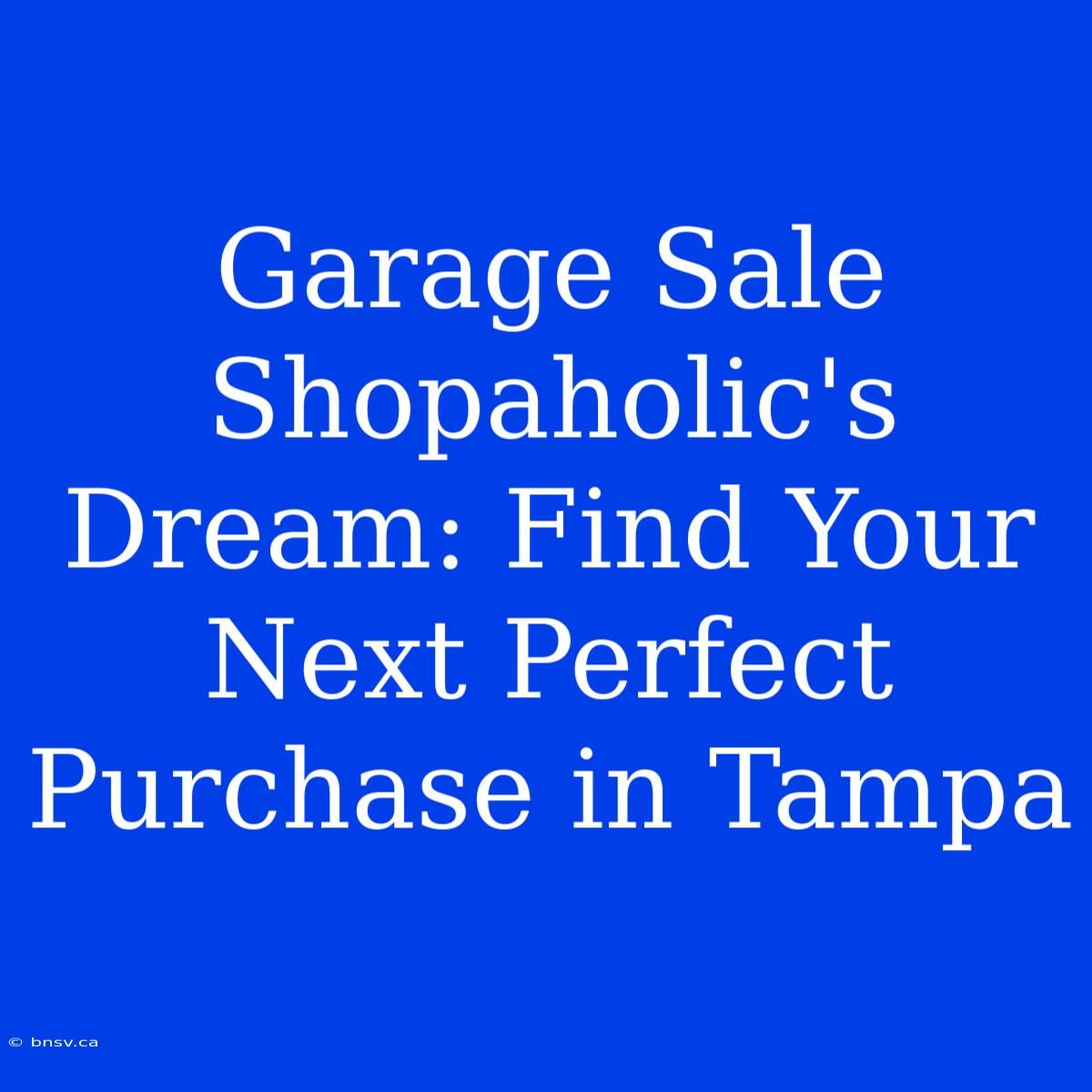 Garage Sale Shopaholic's Dream: Find Your Next Perfect Purchase In Tampa