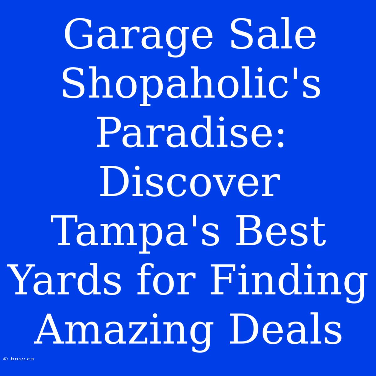 Garage Sale Shopaholic's Paradise: Discover Tampa's Best Yards For Finding Amazing Deals