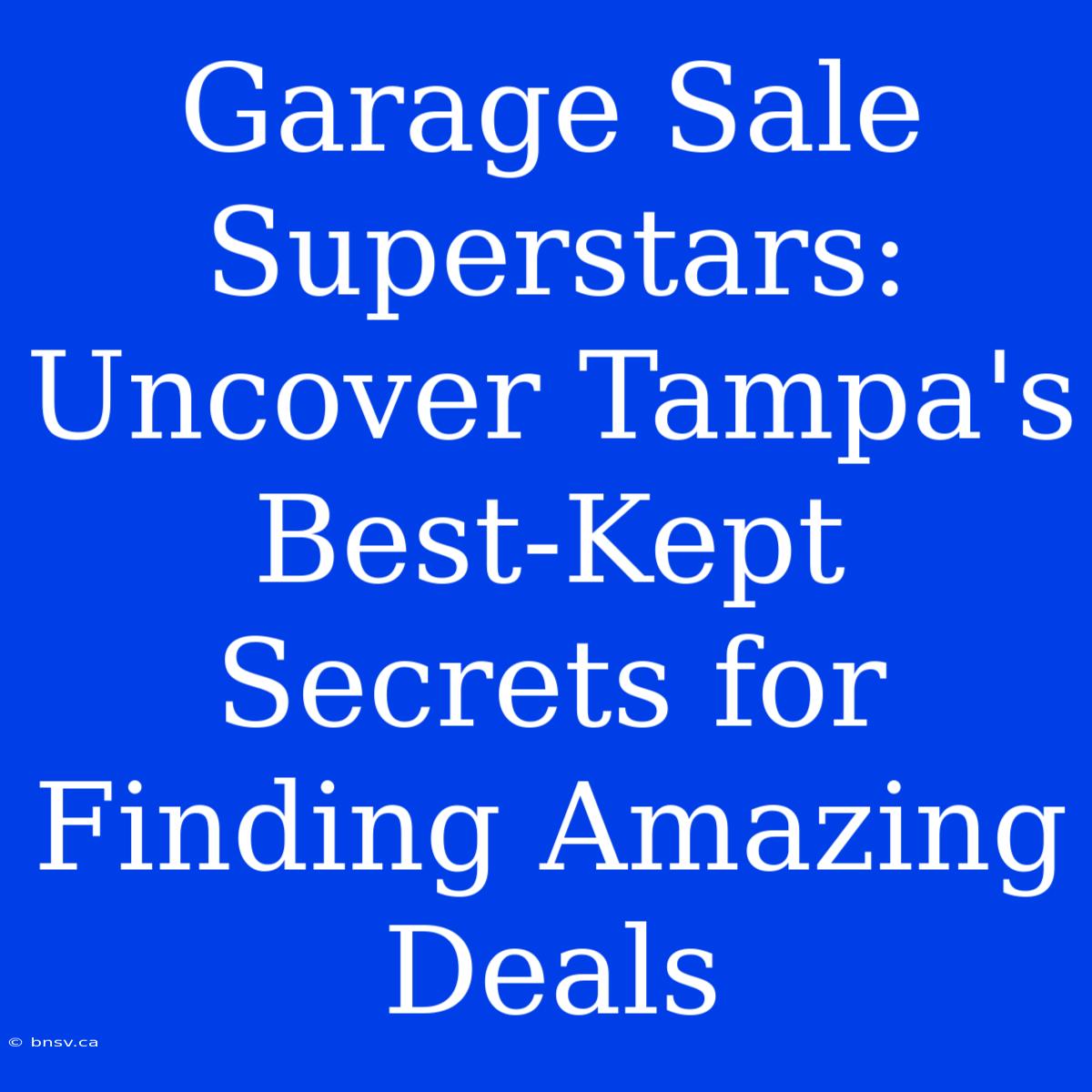 Garage Sale Superstars: Uncover Tampa's Best-Kept Secrets For Finding Amazing Deals