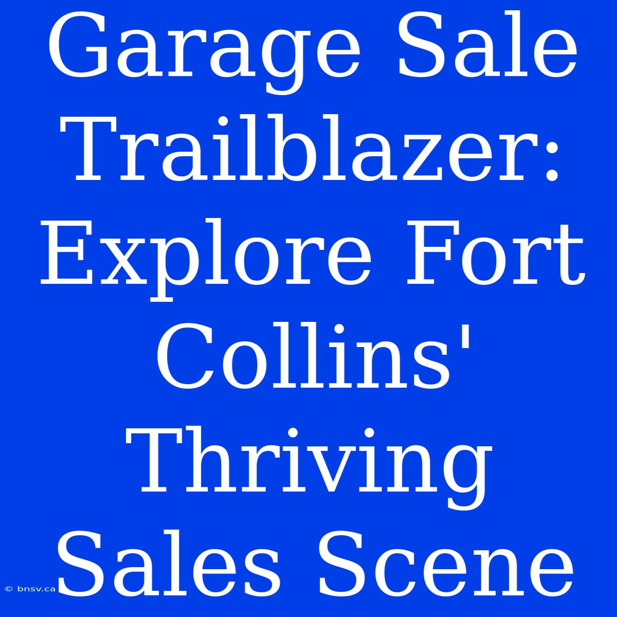 Garage Sale Trailblazer: Explore Fort Collins' Thriving Sales Scene