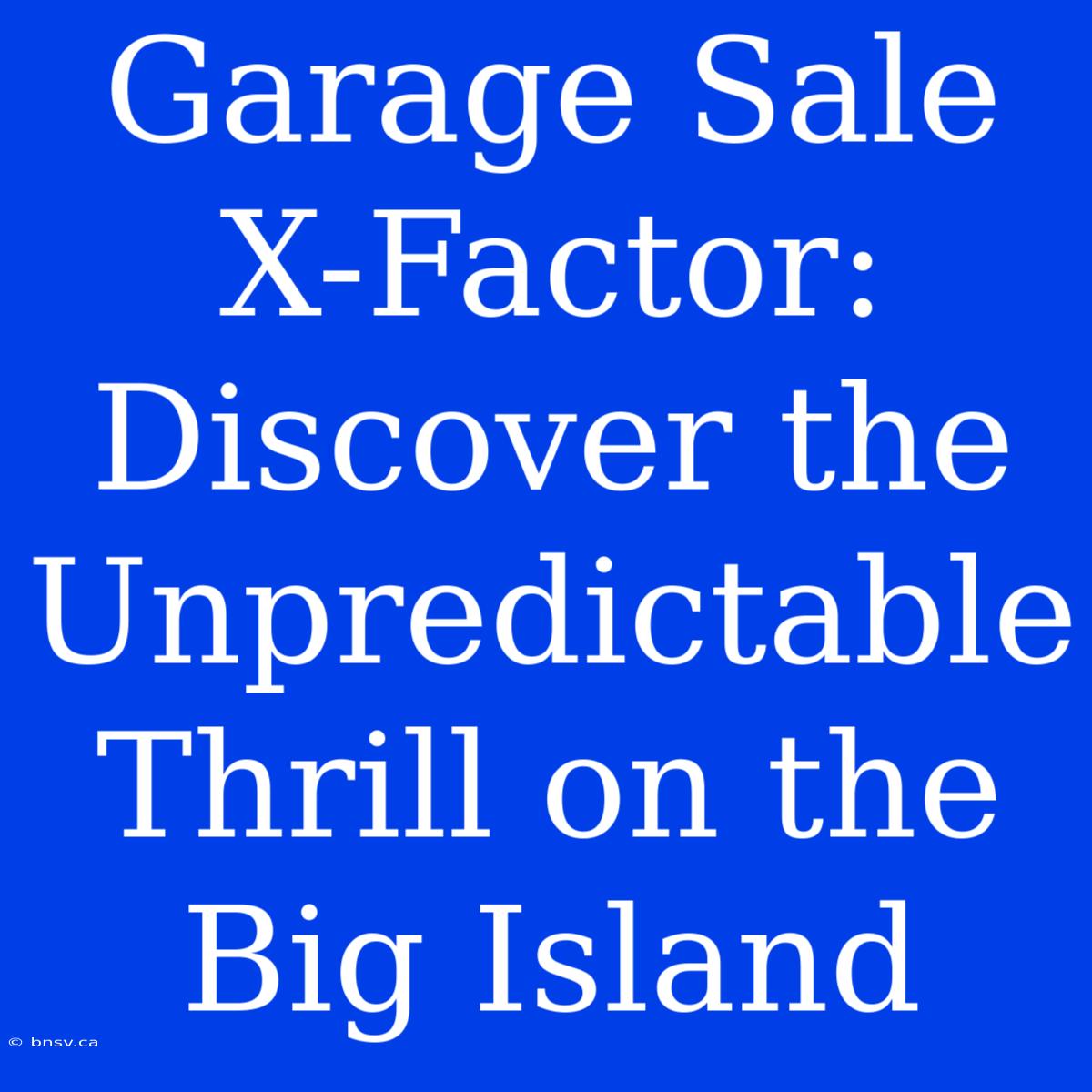 Garage Sale X-Factor: Discover The Unpredictable Thrill On The Big Island