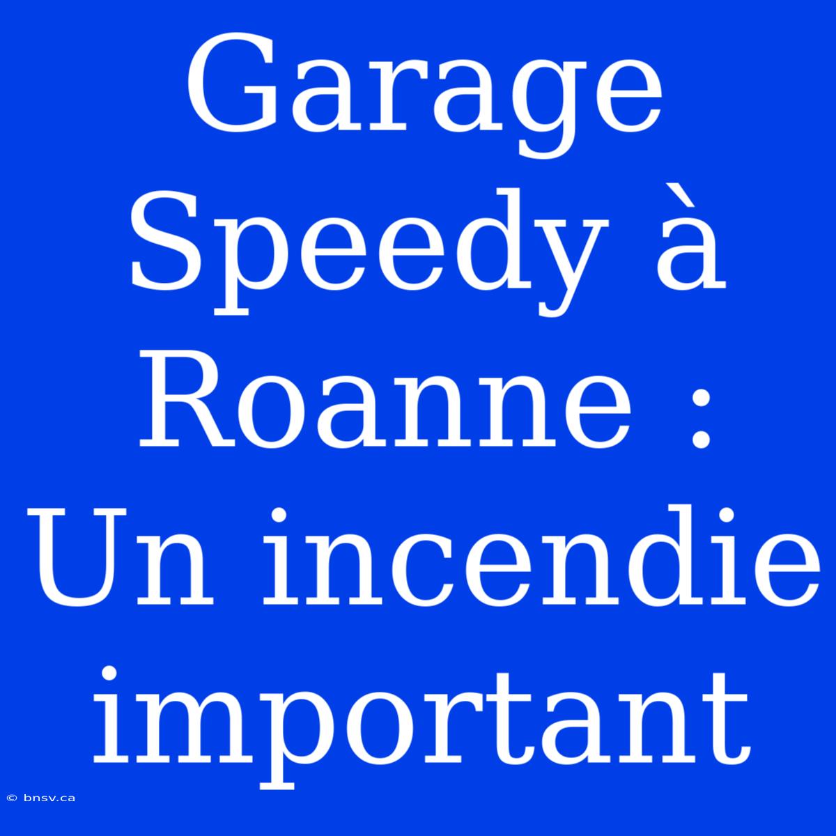 Garage Speedy À Roanne : Un Incendie Important