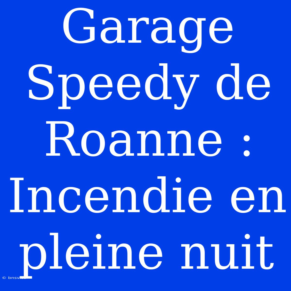 Garage Speedy De Roanne : Incendie En Pleine Nuit