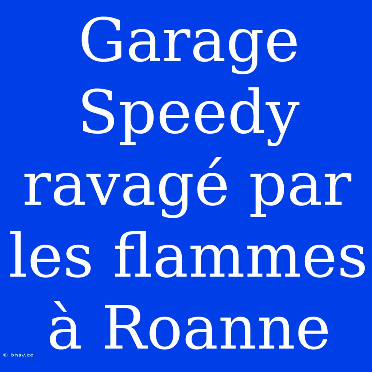 Garage Speedy Ravagé Par Les Flammes À Roanne