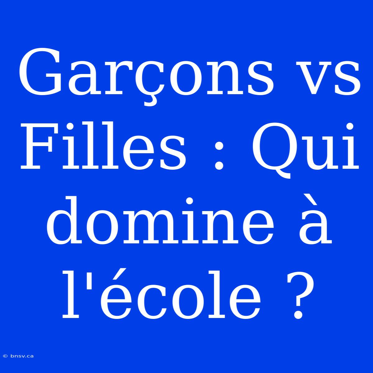 Garçons Vs Filles : Qui Domine À L'école ?