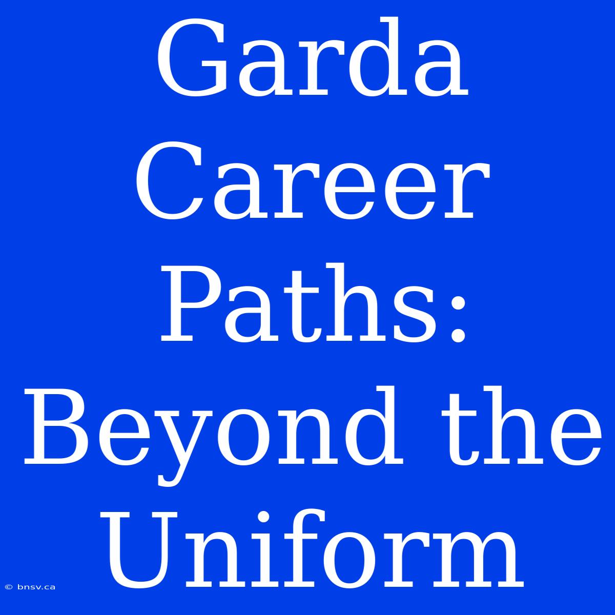 Garda Career Paths: Beyond The Uniform