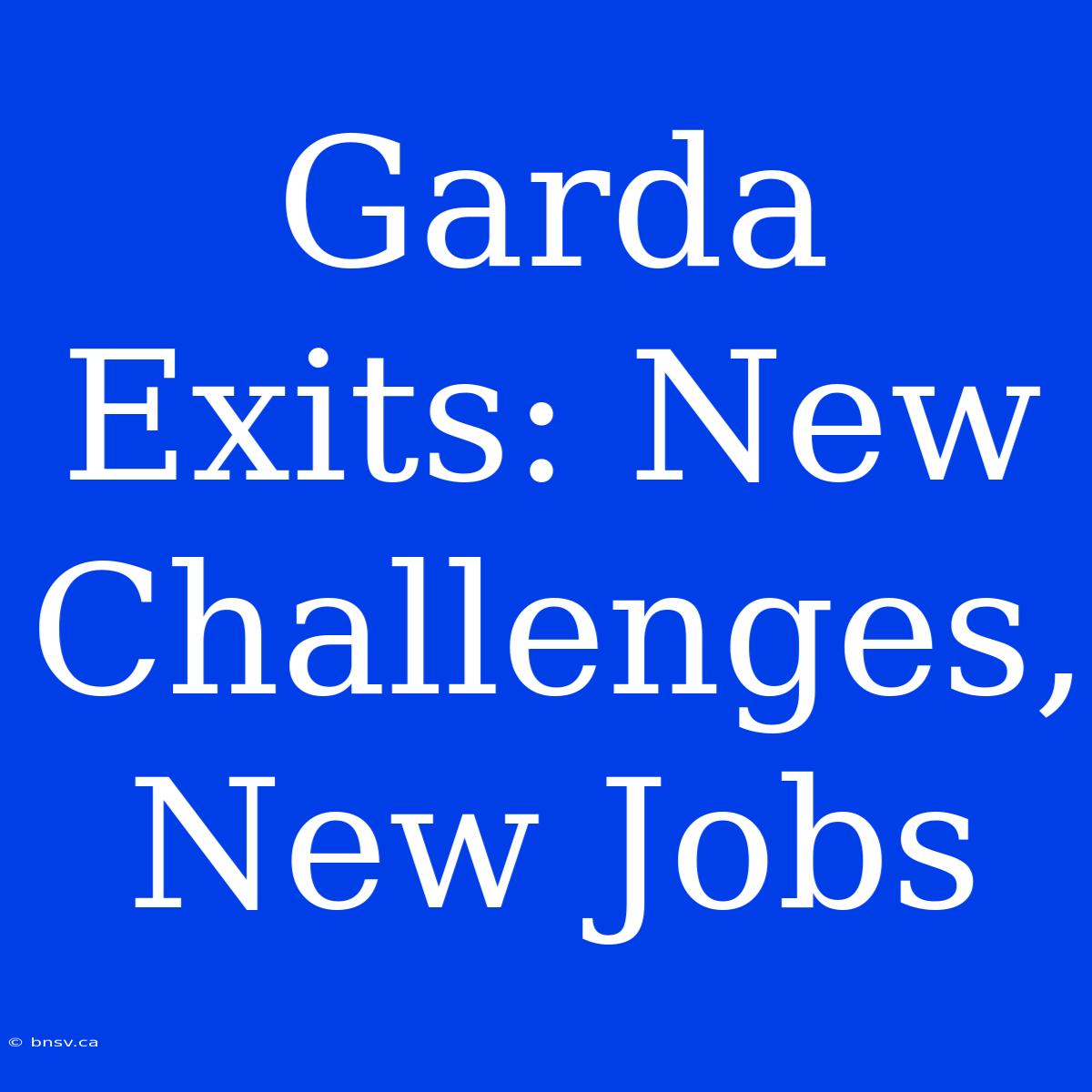 Garda Exits: New Challenges, New Jobs