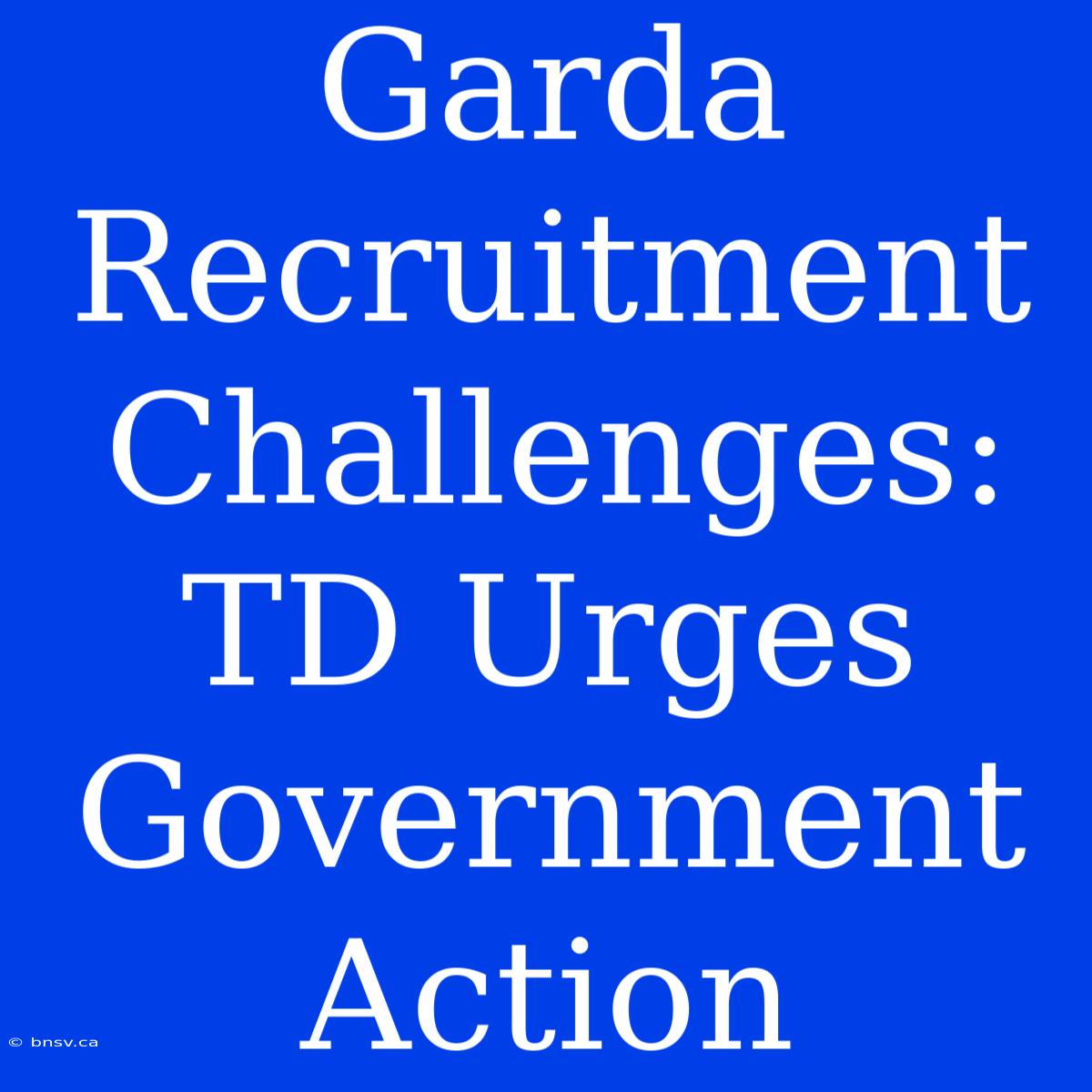 Garda Recruitment Challenges: TD Urges Government Action