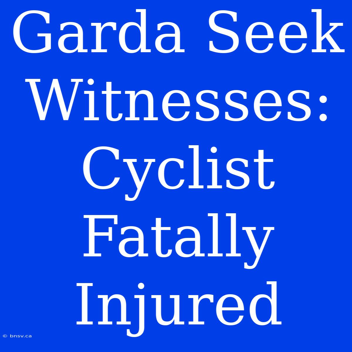 Garda Seek Witnesses: Cyclist Fatally Injured