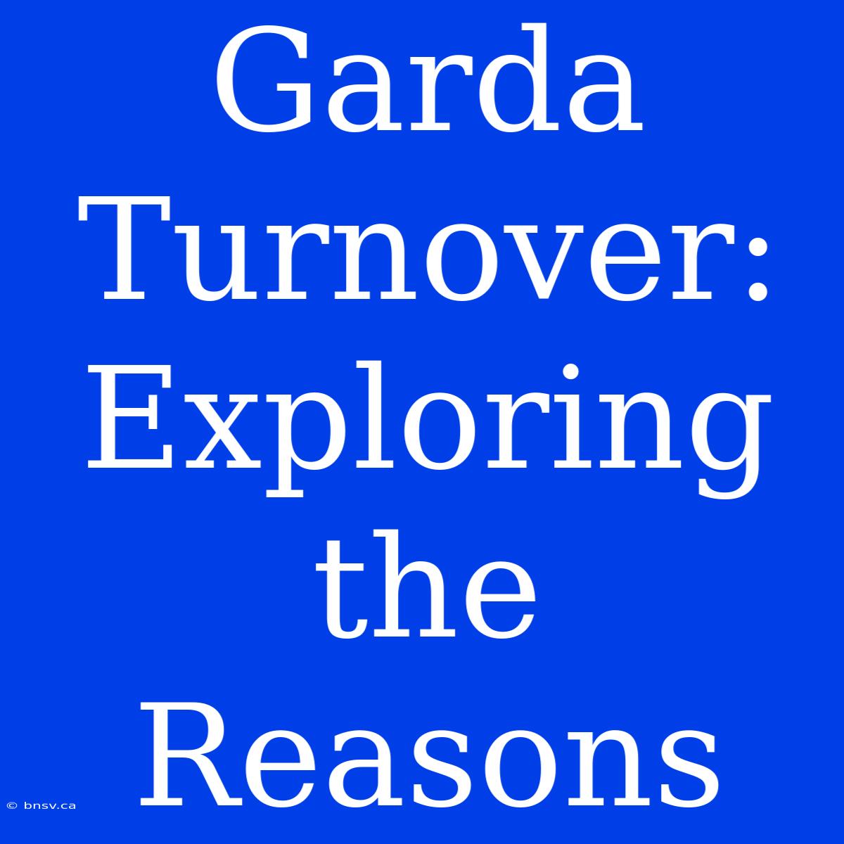 Garda Turnover: Exploring The Reasons