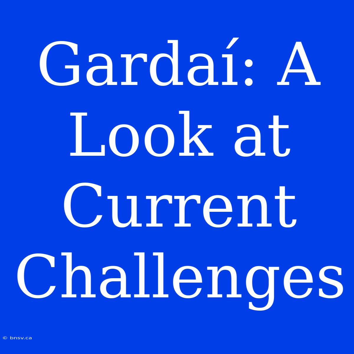 Gardaí: A Look At Current Challenges