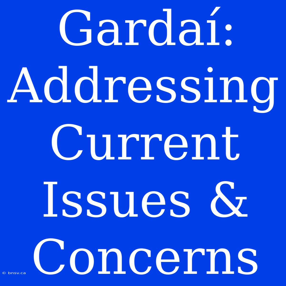 Gardaí: Addressing Current Issues & Concerns