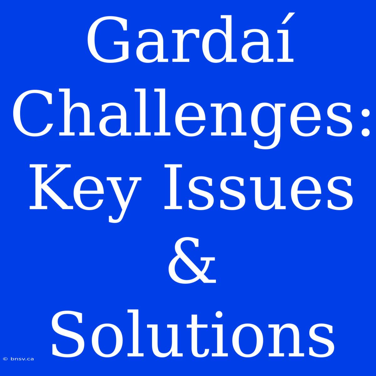 Gardaí Challenges: Key Issues & Solutions