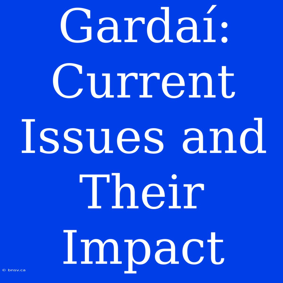 Gardaí:  Current Issues And Their Impact