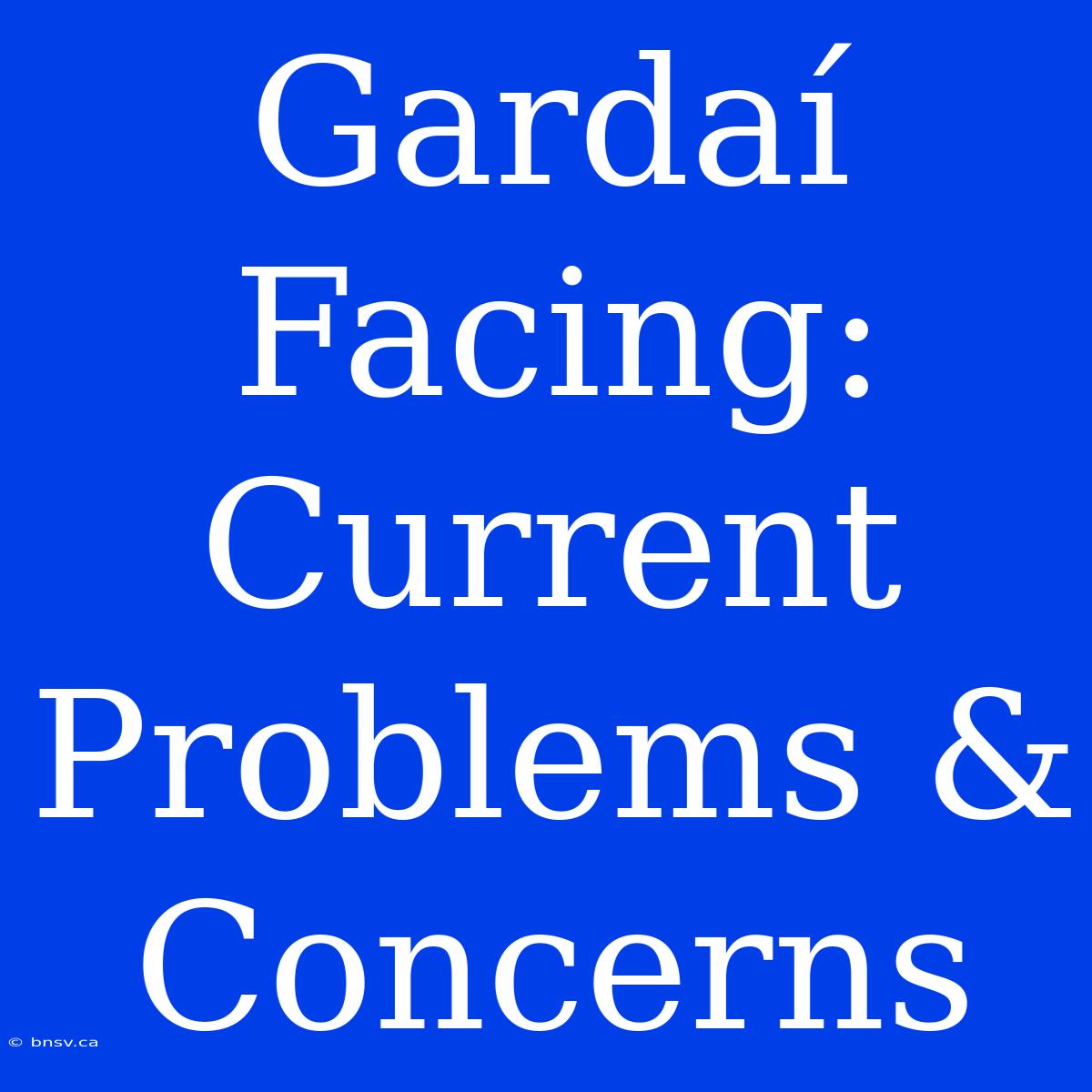 Gardaí Facing: Current Problems & Concerns