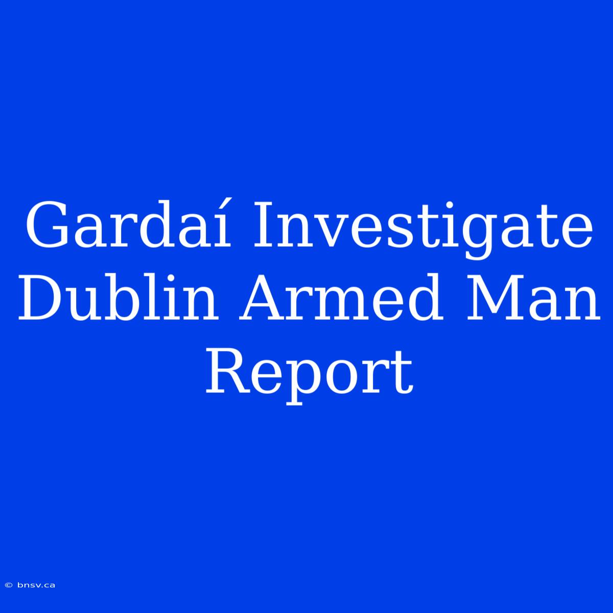 Gardaí Investigate Dublin Armed Man Report