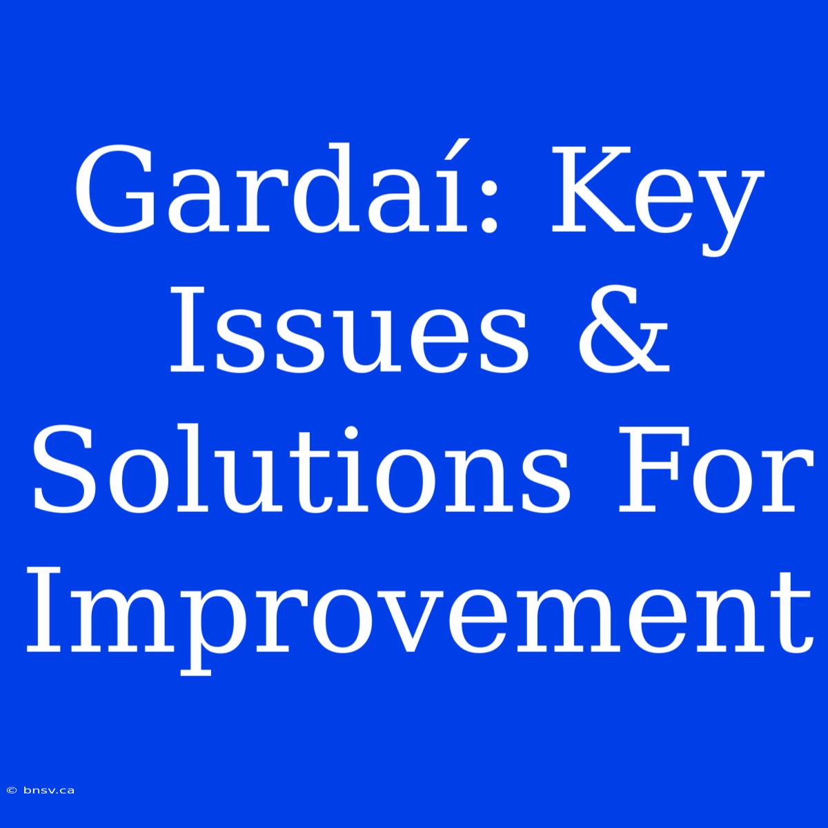 Gardaí: Key Issues & Solutions For Improvement