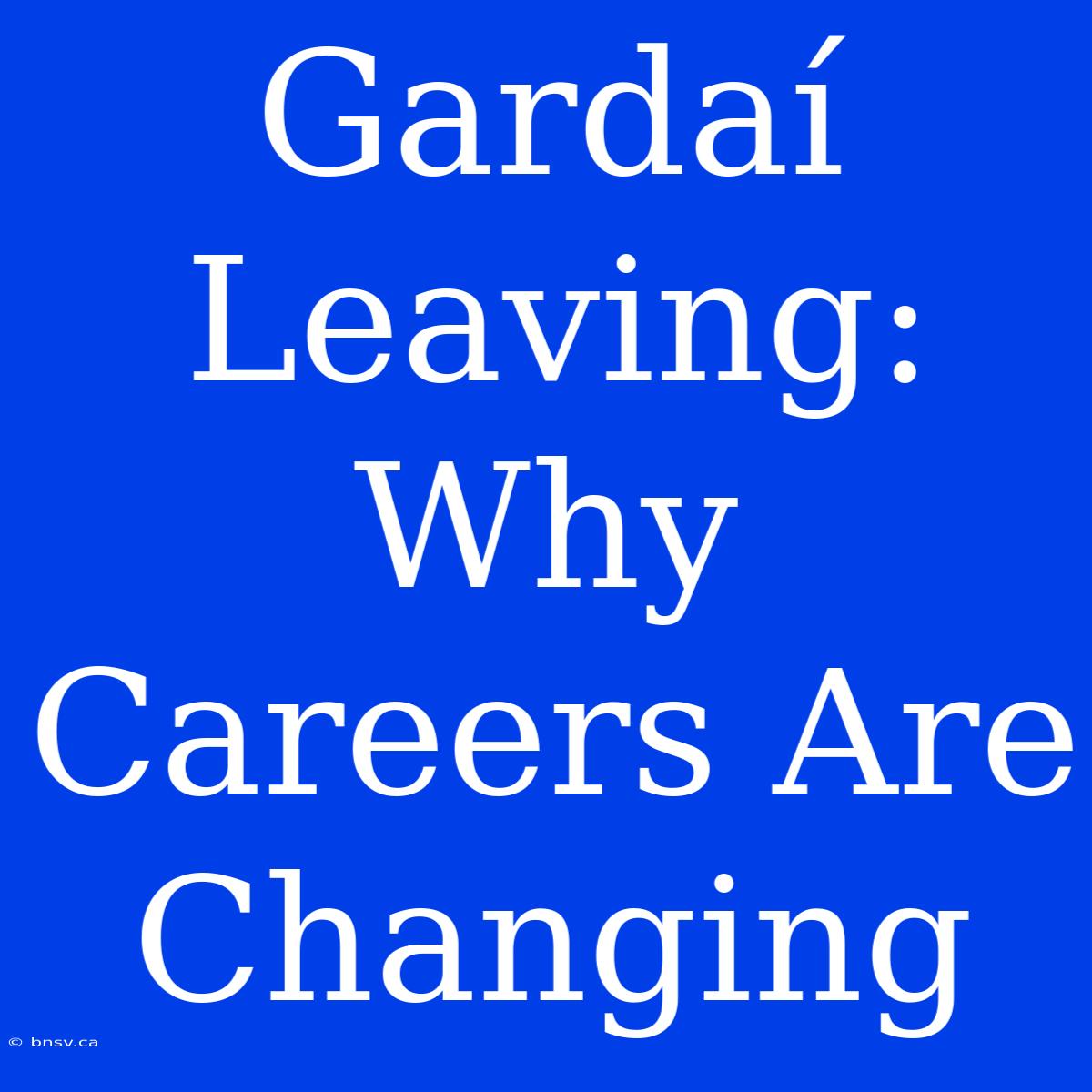 Gardaí Leaving: Why Careers Are Changing