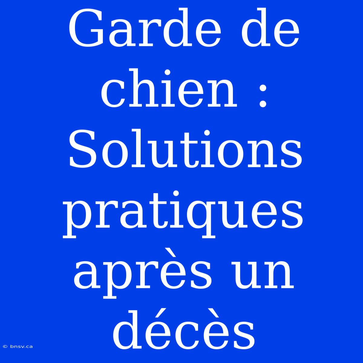 Garde De Chien : Solutions Pratiques Après Un Décès