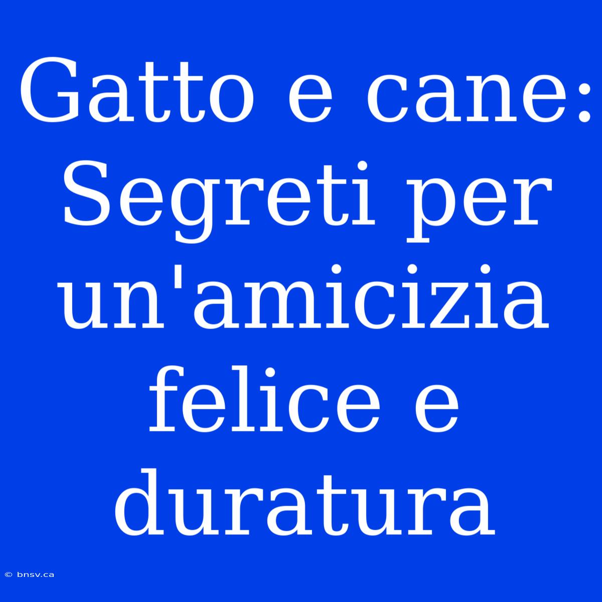 Gatto E Cane: Segreti Per Un'amicizia Felice E Duratura