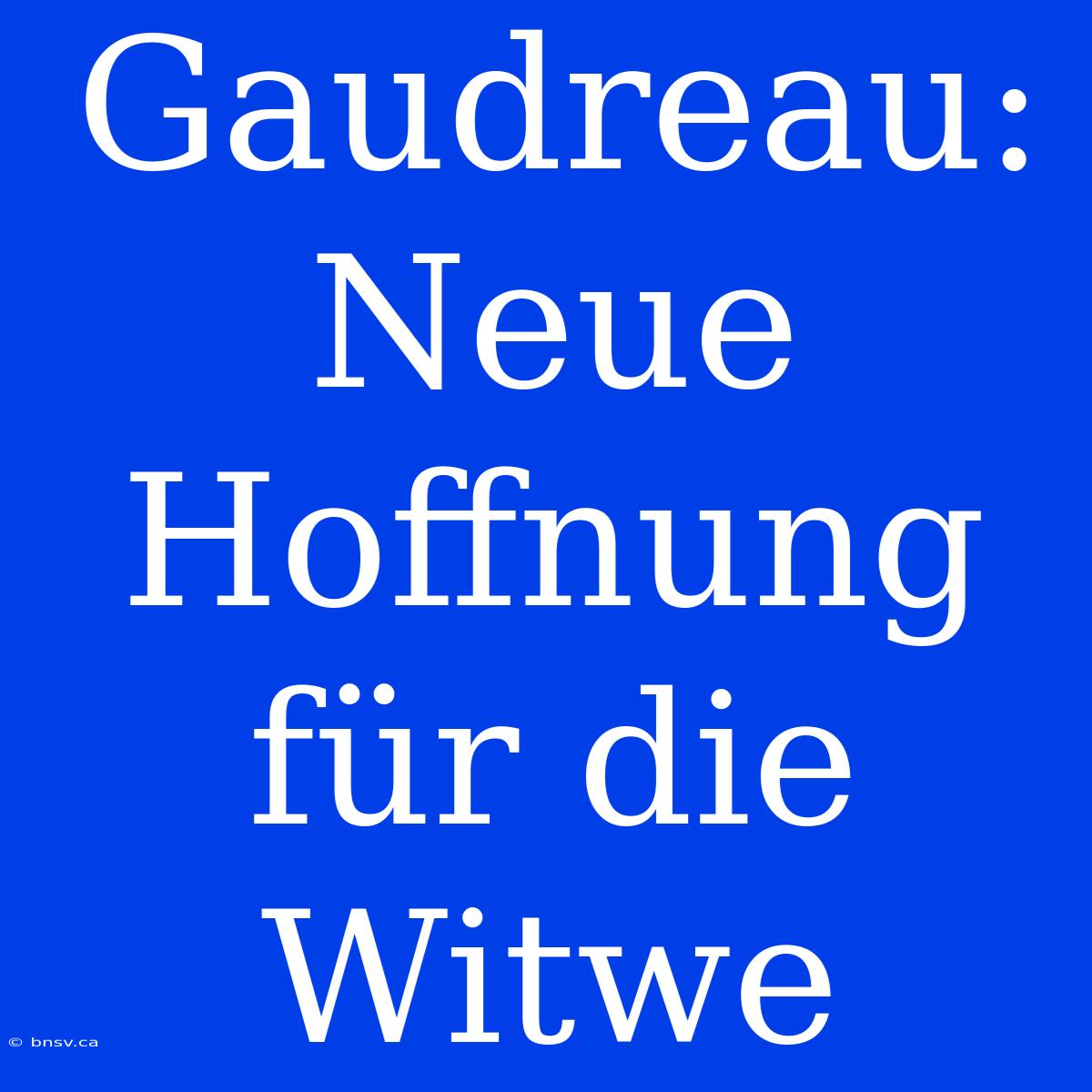 Gaudreau: Neue Hoffnung Für Die Witwe