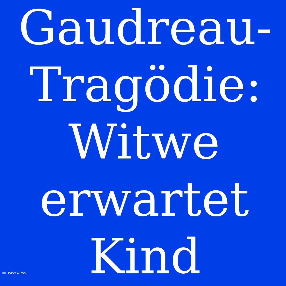 Gaudreau-Tragödie: Witwe Erwartet Kind