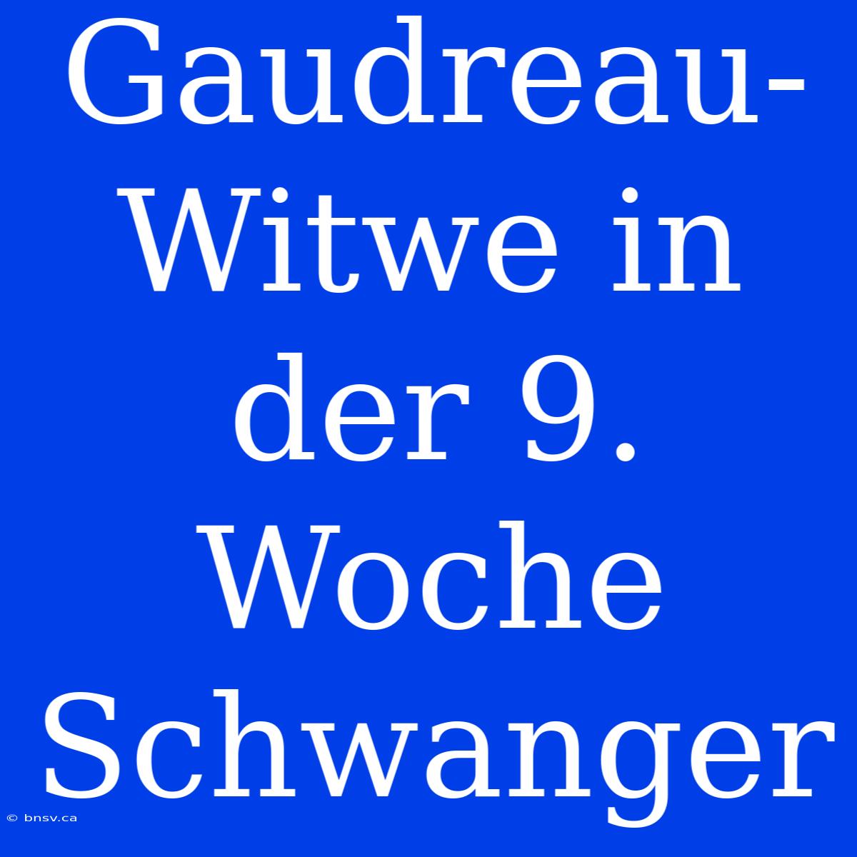 Gaudreau-Witwe In Der 9. Woche Schwanger